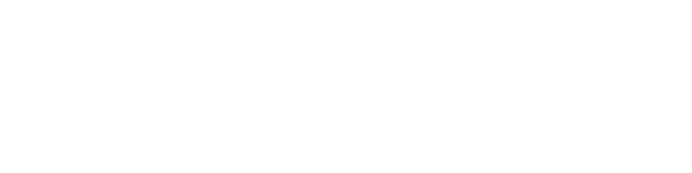 TDS Company Logo